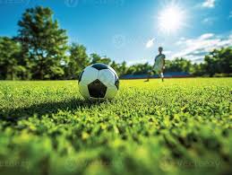 专业分析师使用数据分析功能